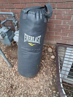 Everlast Heavy Punching Bag