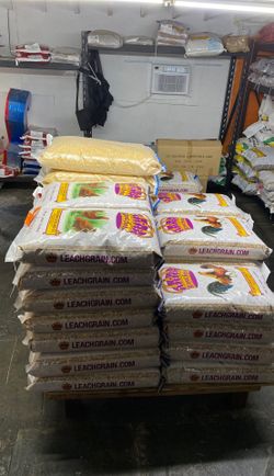 Bird feed bird food comida de pajaro