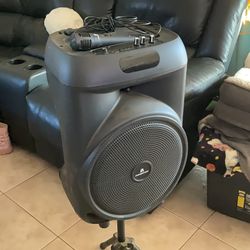 Karaoke speaker
