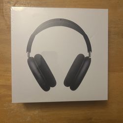 AirPod Maxes (NEW)