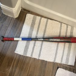Demarini Baseball Bat 