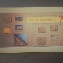 Dinosaur Quarry National Monument Utah Colorado What Happened Exhibit #6 Plastichrome Vintage Collectible Postcard Post Card RPPC PC
