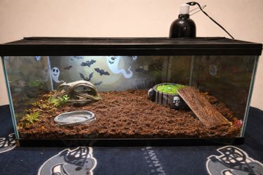 Full tank set up with all the lights