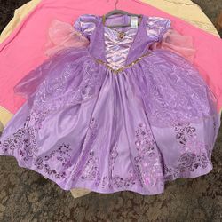 Princess Rapunzel Costume