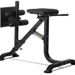TITAN  FITNESS Dual Hyperextension

