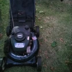 Mulcher Mowrt With Bag