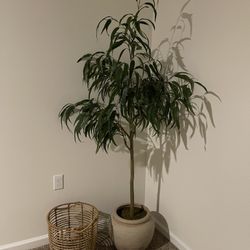 Decorative Tree