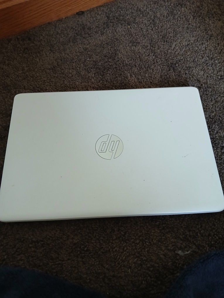 Hp Steam Laptop