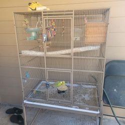 Cage With Two  Parakeets