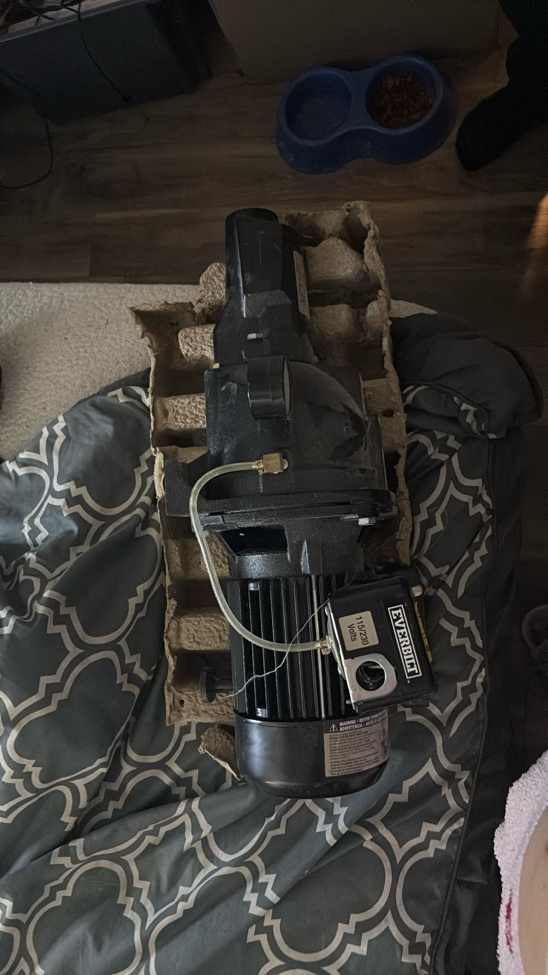 EVERBILT POOL PUMP 115/230 VOLT