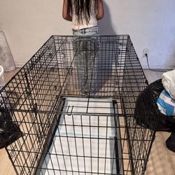 Dog Cage