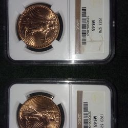 $20 Dollar Gold Peices 