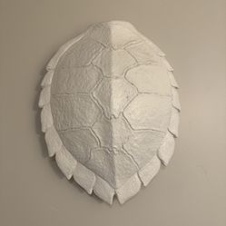 Unique Ceramic Turtle Shell Wall Decor