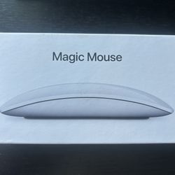 Apple Magic Mouse 