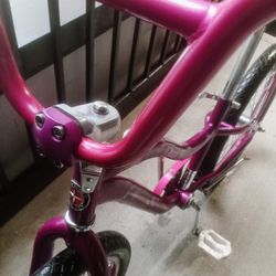 Schwinn 20in bike