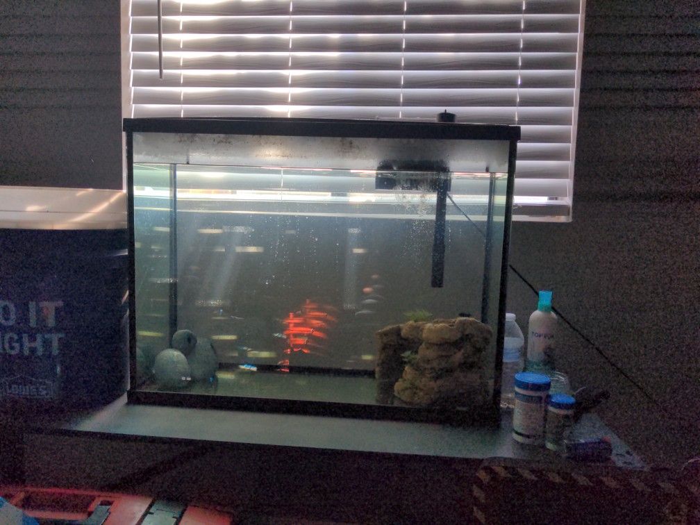 37 Gallon Fish Tank