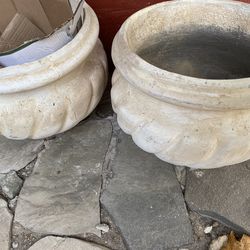 Concrete Plant Pots