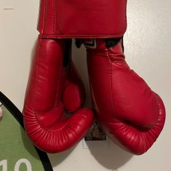 Gloves For Boxing 