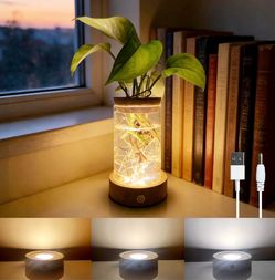 Plant Propagation Station with Three Color & Stepless Dimming LED Light Cylinder Glass Hydroponic Terrarium Vases with Light for Home Office Decor, Ga