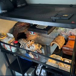 Reptile Cage (Terrarium)