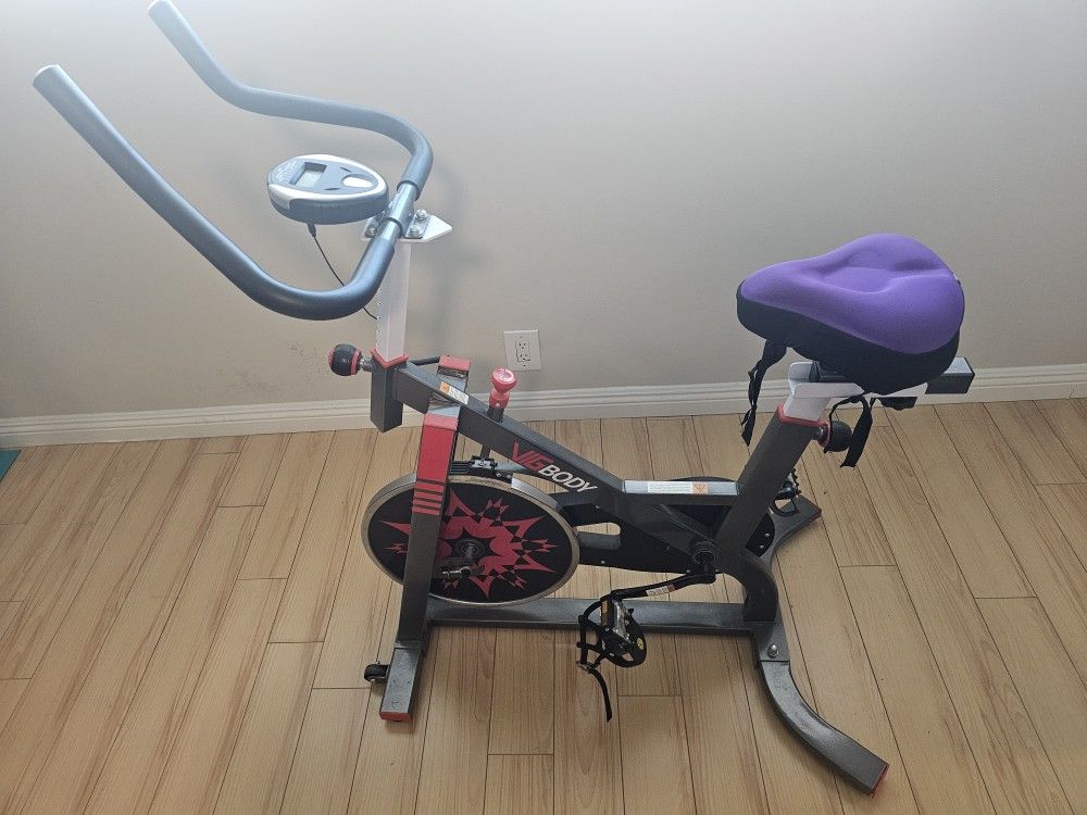 VigBody Stationary Bike