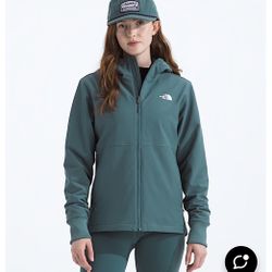 North Face insulated Hoodie Algae Blue