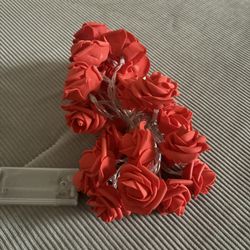 Rose Lights