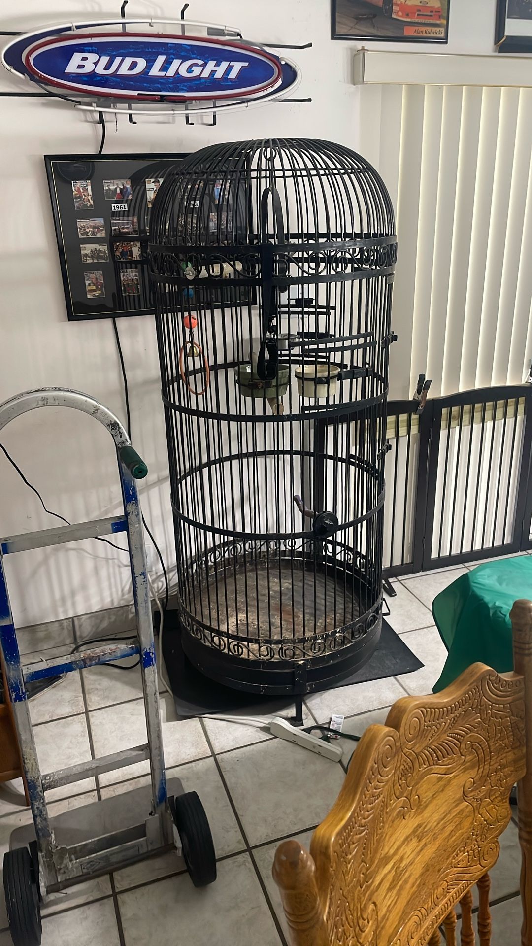 Bird Cage