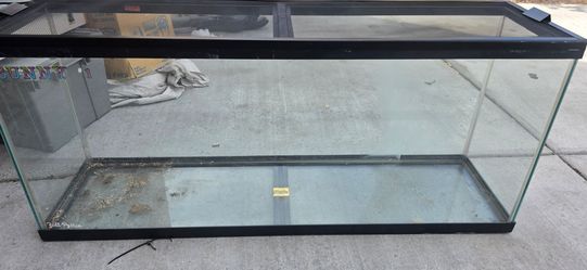55 gallon reptile tank