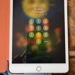 iPad Mini 5th Generation 