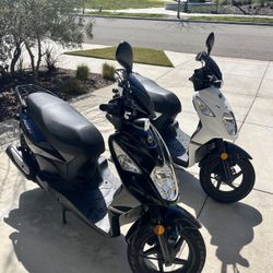 Lance PCH Scooter  2019