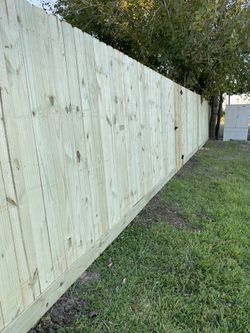 Martin Fencing
