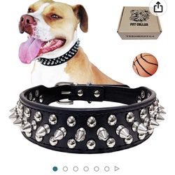 Pet Collar