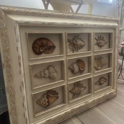Gorgeous Unique Coastal Seashell 3-D Picture Wall Art