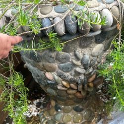 Plants With Planters