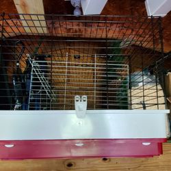 Guinea Pig Or Rabbit Habitat