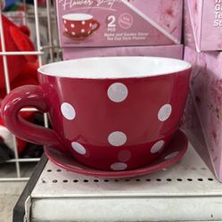 Medium Sized Planter With Saucer. 