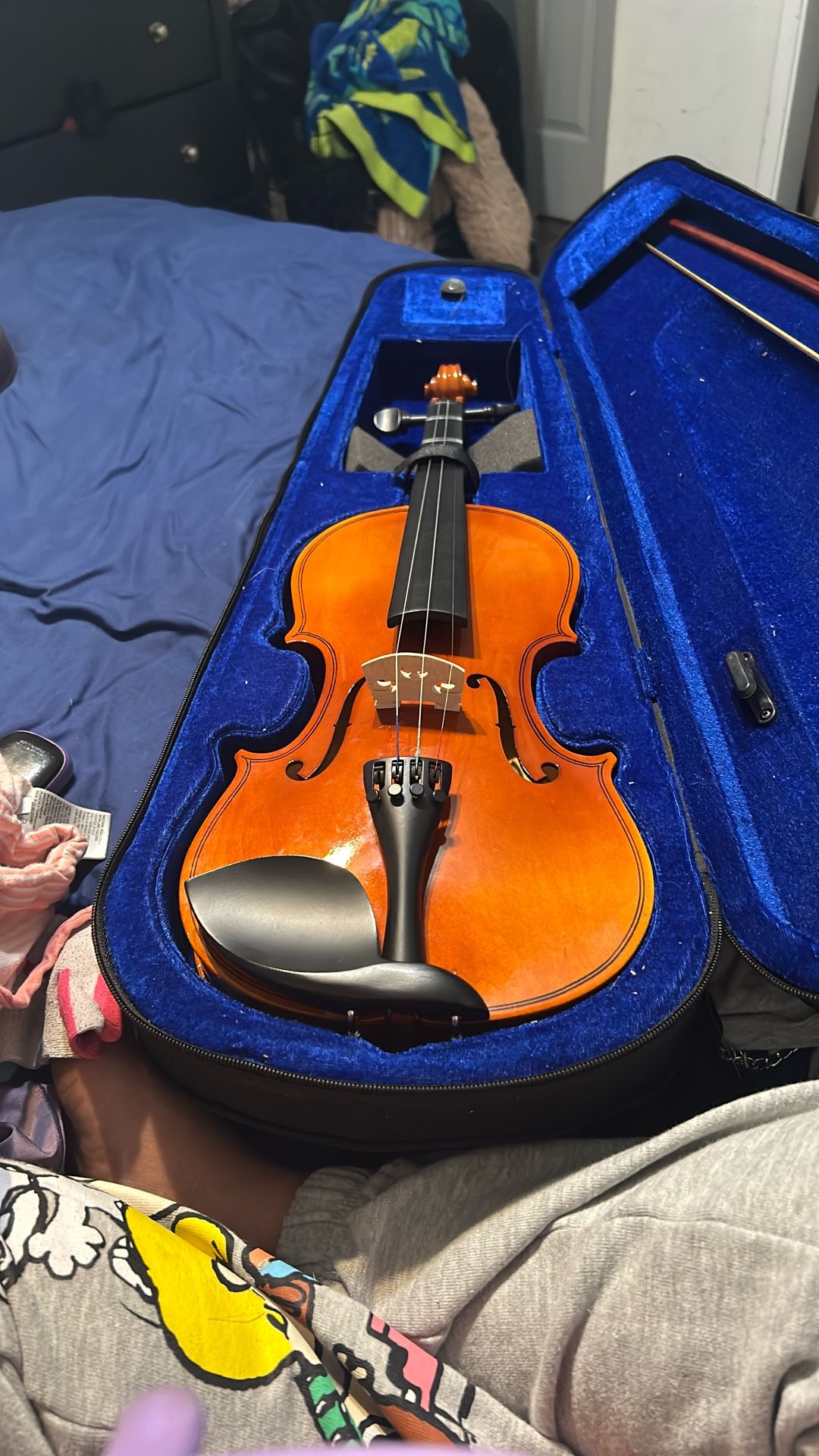 Violin