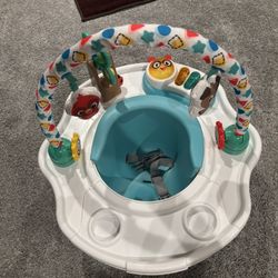 Baby Einstein Deluxe Super Infant Seat