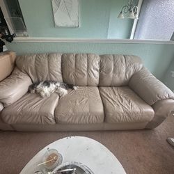 Leather Couch - FREE