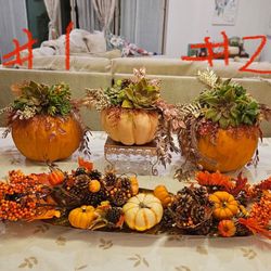 Succulent Pumpkins Arrangement