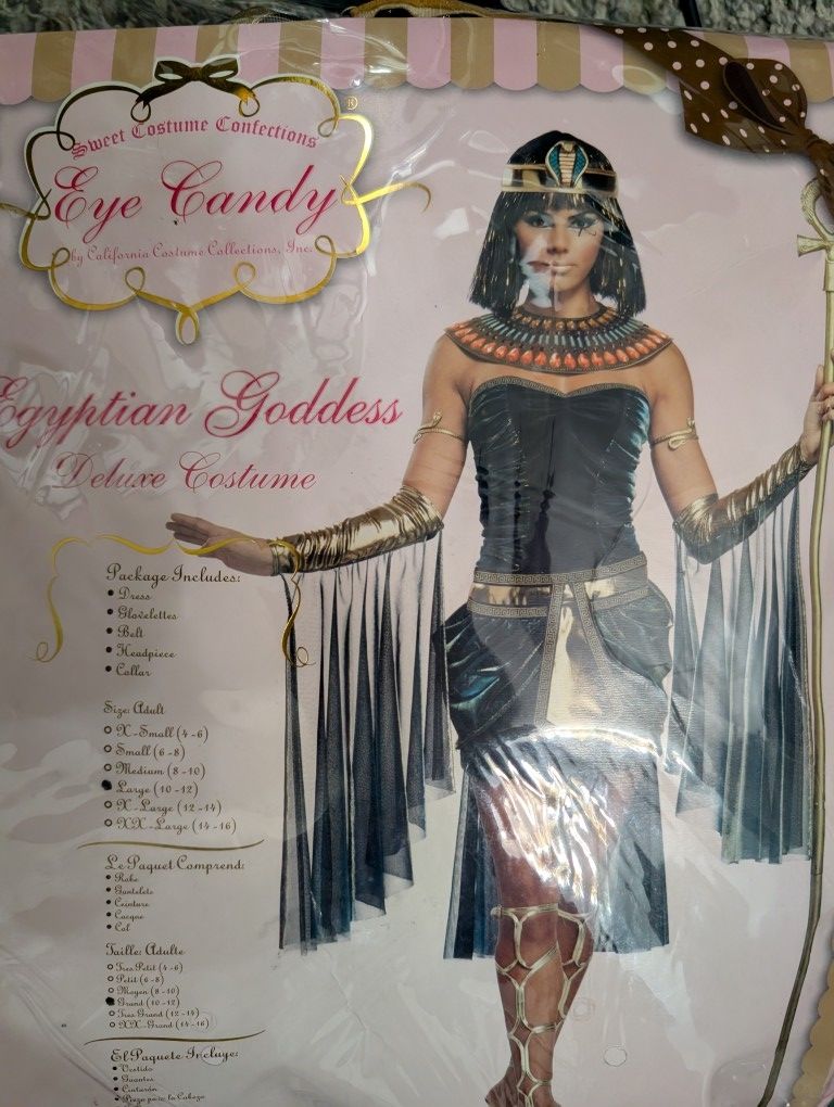 Egyptian Goddess Costume