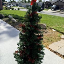 Miniature Christmas Trees