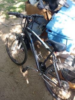 bike swhinn
