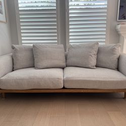 West Elm Newport Couch!
