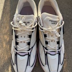 Men’s Nike Air Pegasus Size 12