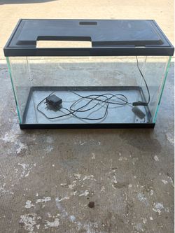 10 Gallon Fish Tank