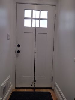 Black Gold Fishing Rod