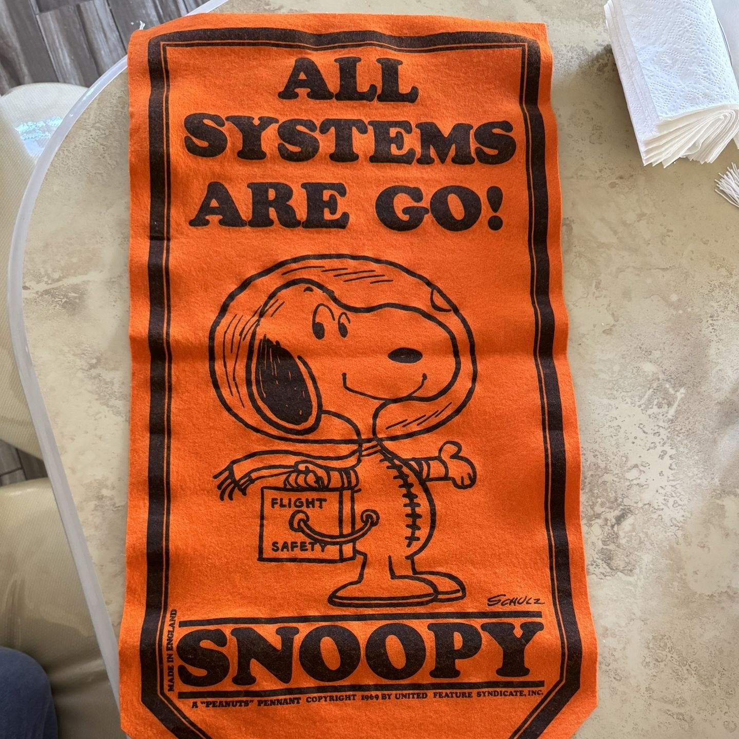 Vintage Snoopy Felt Banner. “All Systems Are Go” for Sale in City