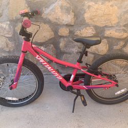 Kids Bike (Specialized Riprock Coaster 20)